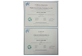 TS16949 certificate